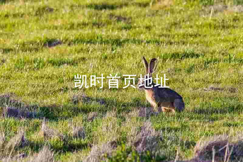 凯时首页地址