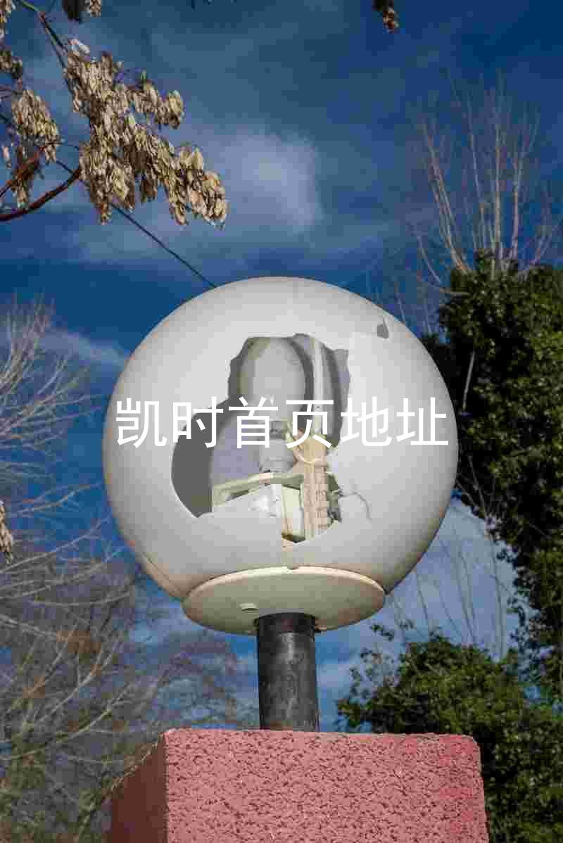 凯时首页地址