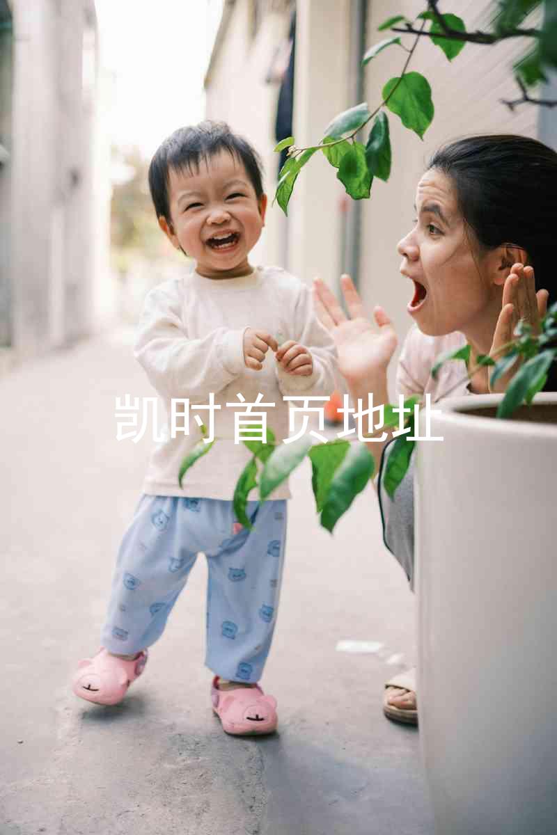 凯时首页地址