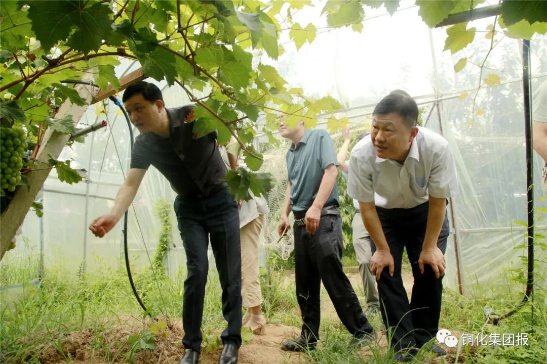 BG大游(中国)唯一官方网站