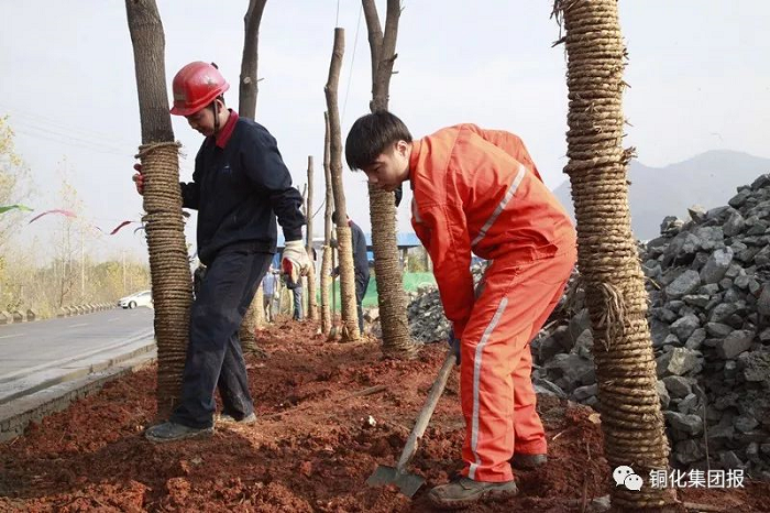 BG大游(中国)唯一官方网站